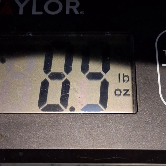 Phat Farm Man‎ One Size Scarf - Picture 11 of 11